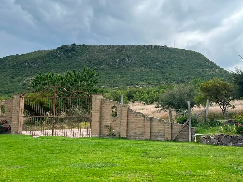 The Los Picachos peak rising behind the farm gate