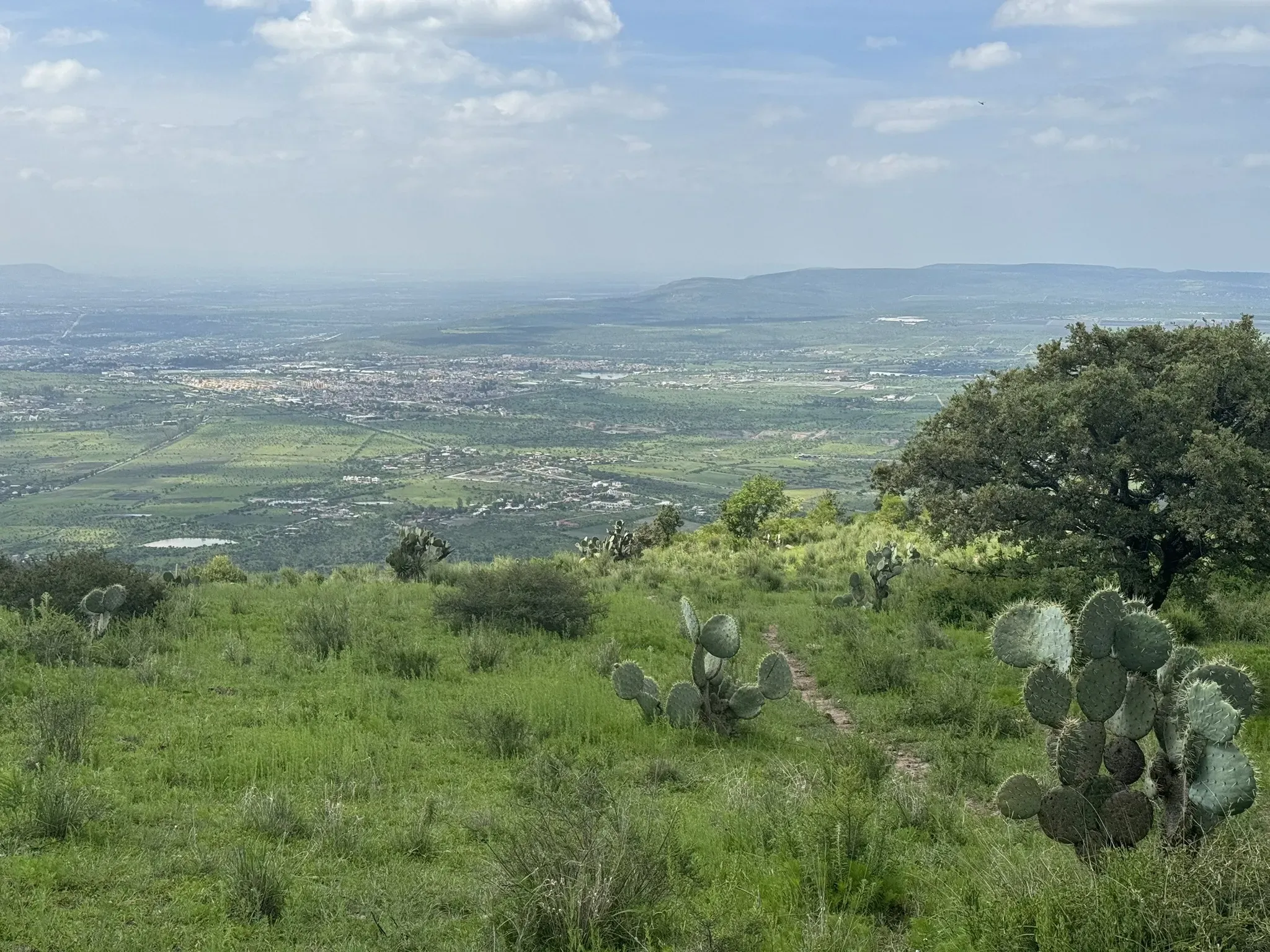 The Los Picachos ridge overlooking the San Miguel valley